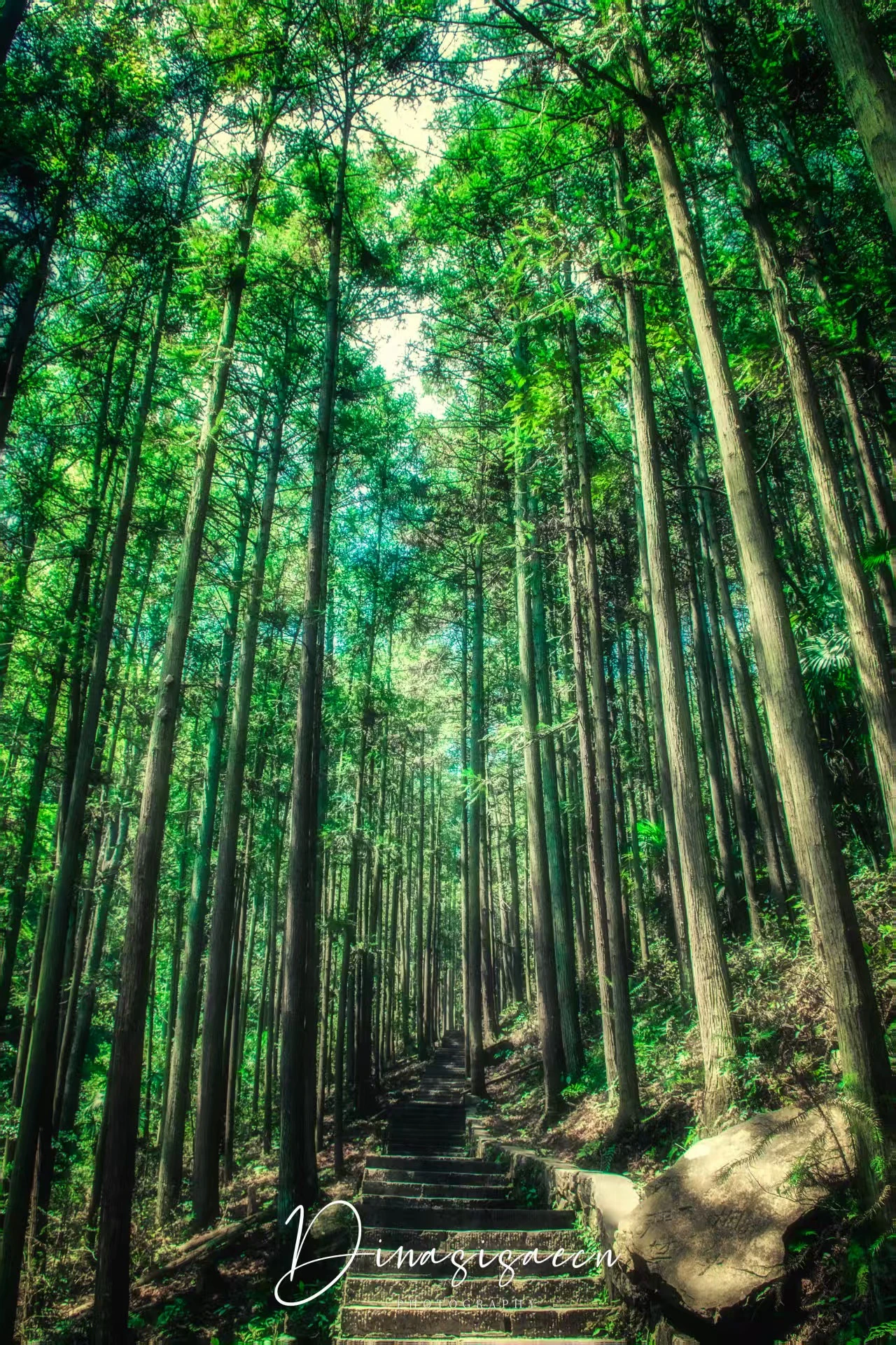环境空气体验过最舒服的地方