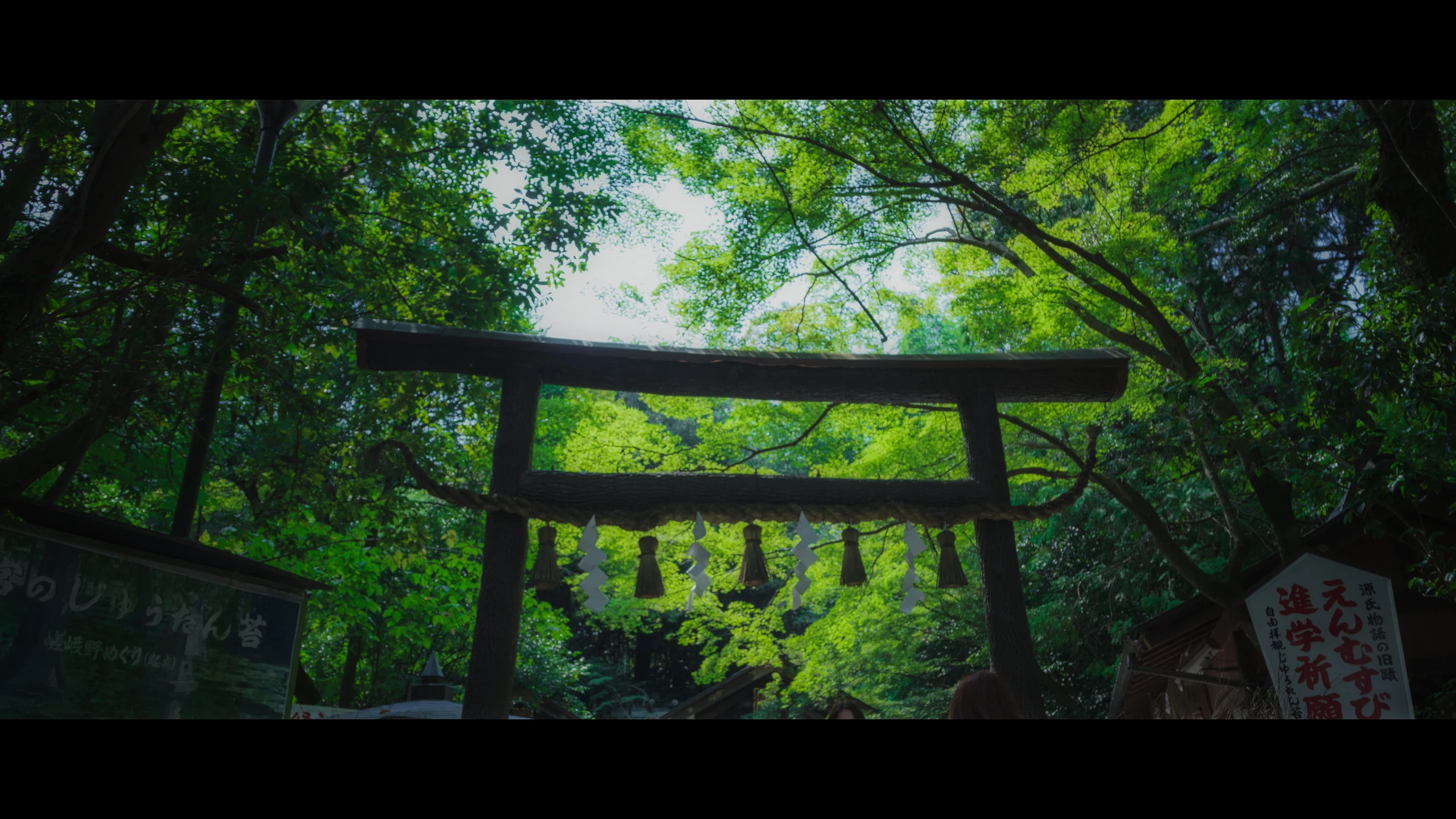 绿色 夏天的神社