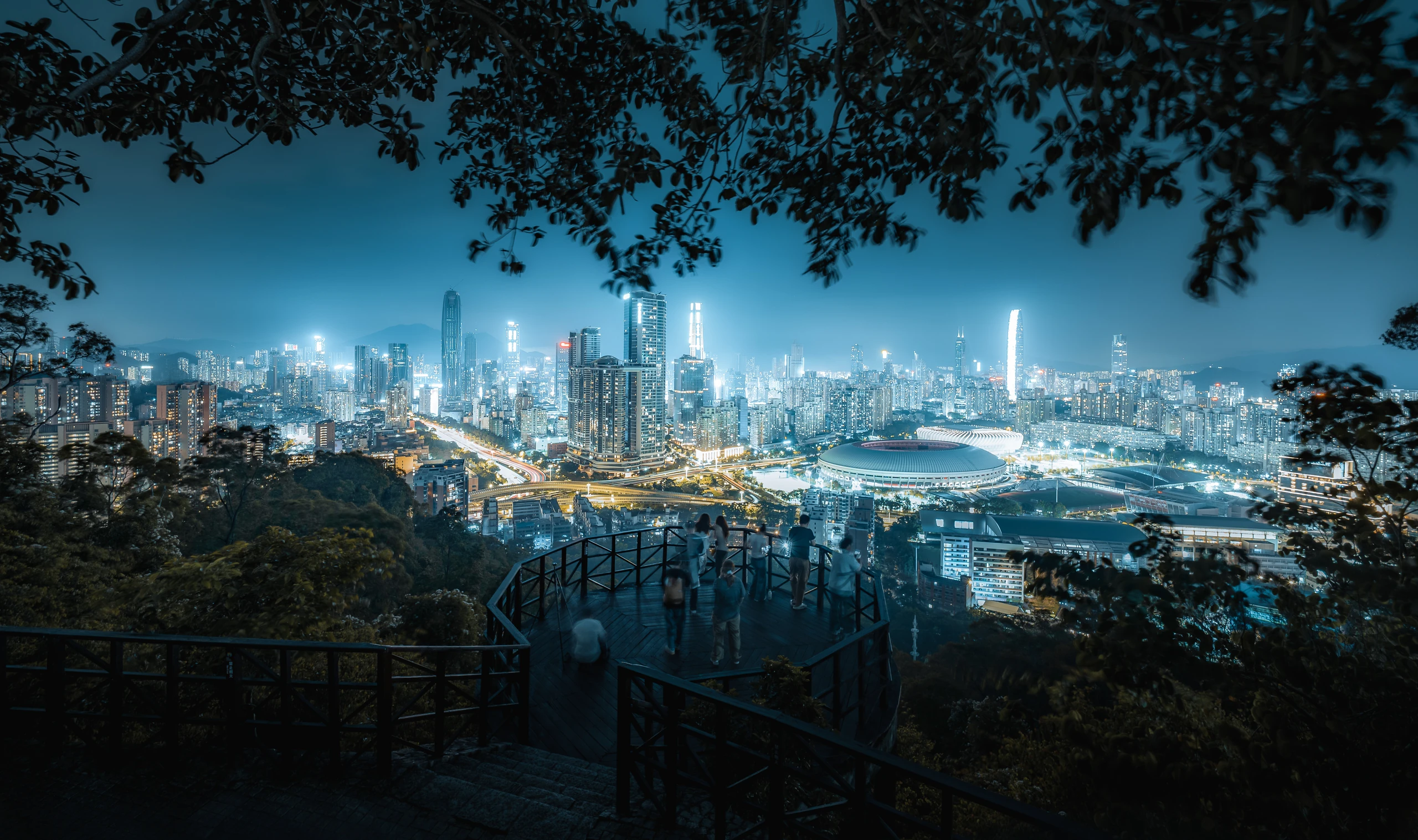 雨后的笔架山公园夜晚观景台，大蜗牛很多